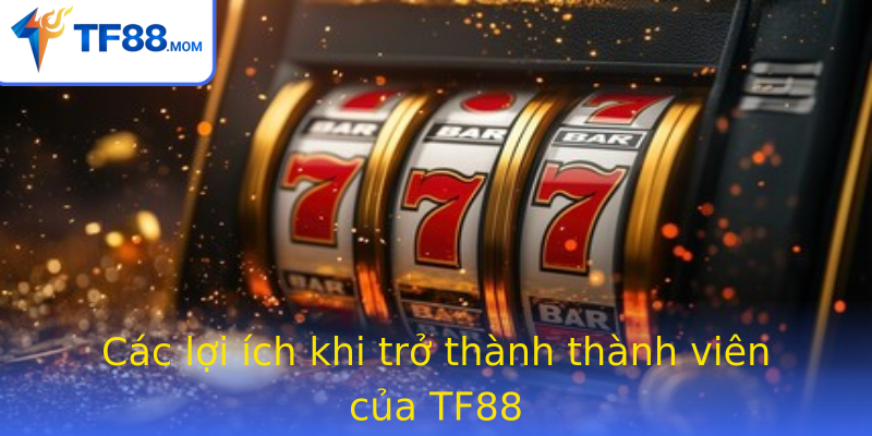 Các lợi ích khi trở thành thành viên của TF88 Các lợi ích khi trở thành thành viên của TF88