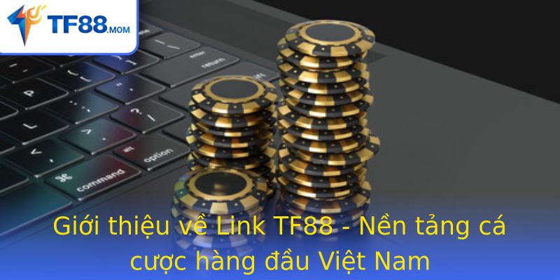 Giới thiệu về Link TF88 - Nền tảng cá cược hàng đầu Việt Nam