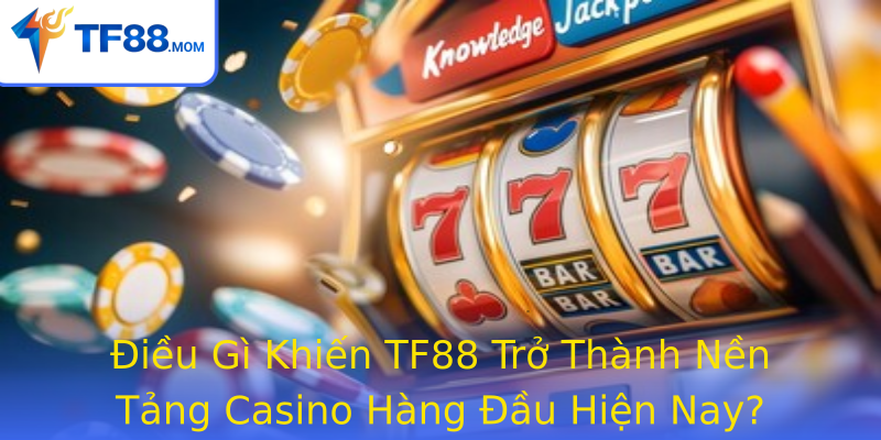 Điều Gì Khiến TF88 Trở Thành Nền Tảng Casino Hàng Đầu Hiện Nay?
