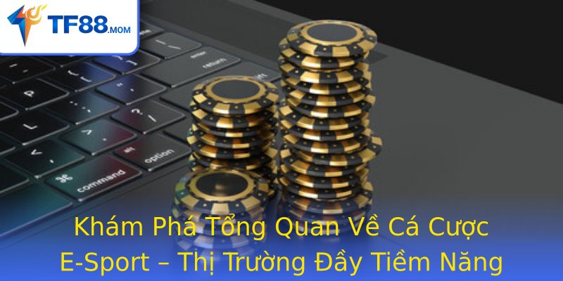 Khám Phá Tổng Quan Về Cá Cược E-Sport – Thị Trường Đầy Tiềm Năng Và Độc Đáo