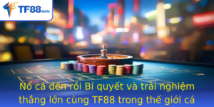 No Ca En Roi Bi Quyet Va Trai Nghiem Thang Lon Cung Tf88 Trong The Gioi Ca Cuoc Soi Ong