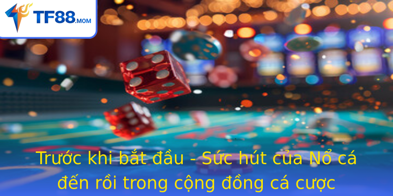 Truoc Khi Bat Au Suc Hut Cua Strongno Ca En Roistrong Trong Cong Ong Ca Cuoc