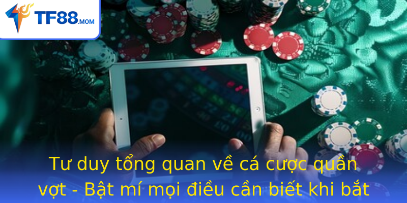 Tư duy tổng quan về cá cược quần vợt - Bật mí mọi điều cần biết khi bắt đầu